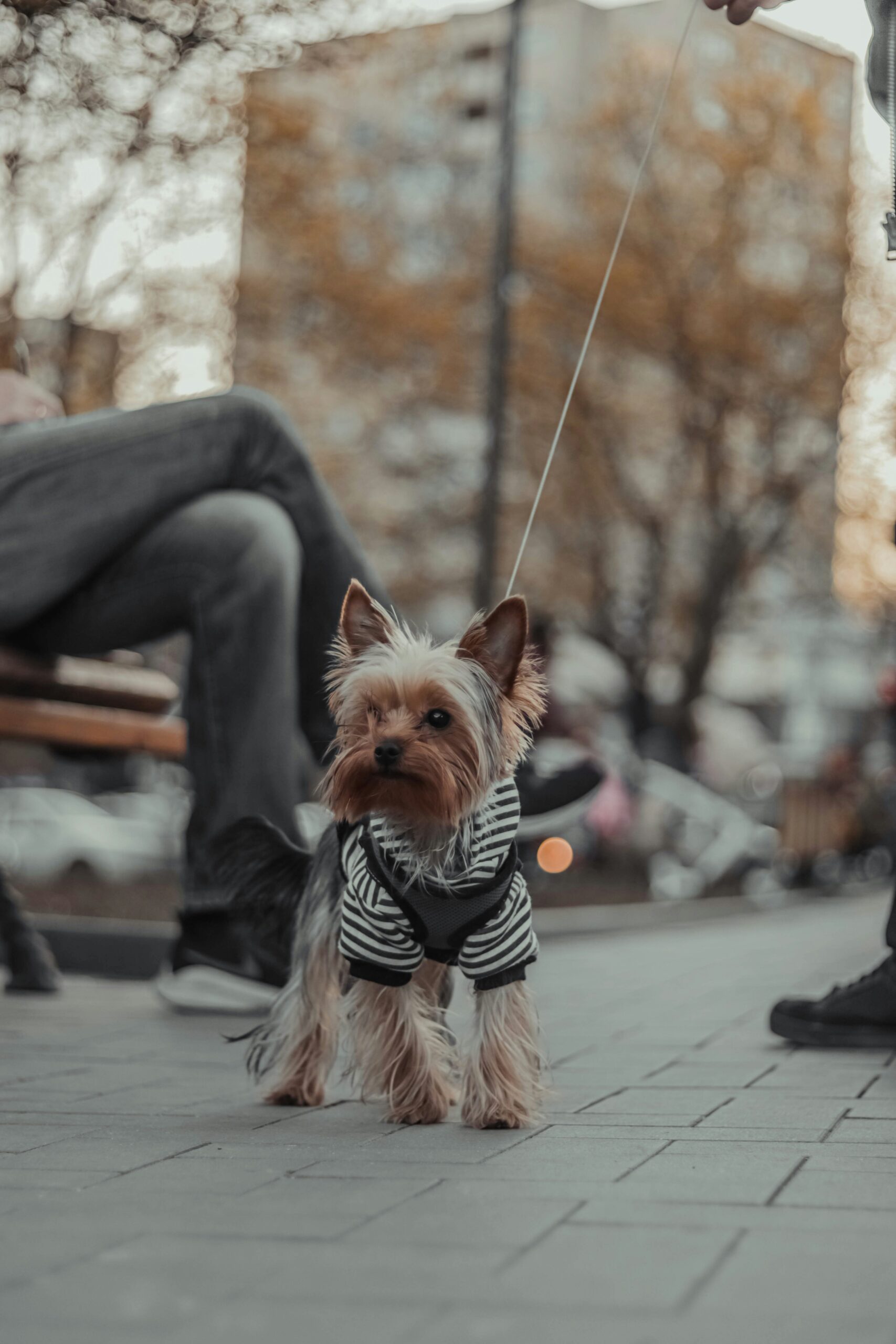 jraman-jchandran-ZS0LliZQXRM-unsplash