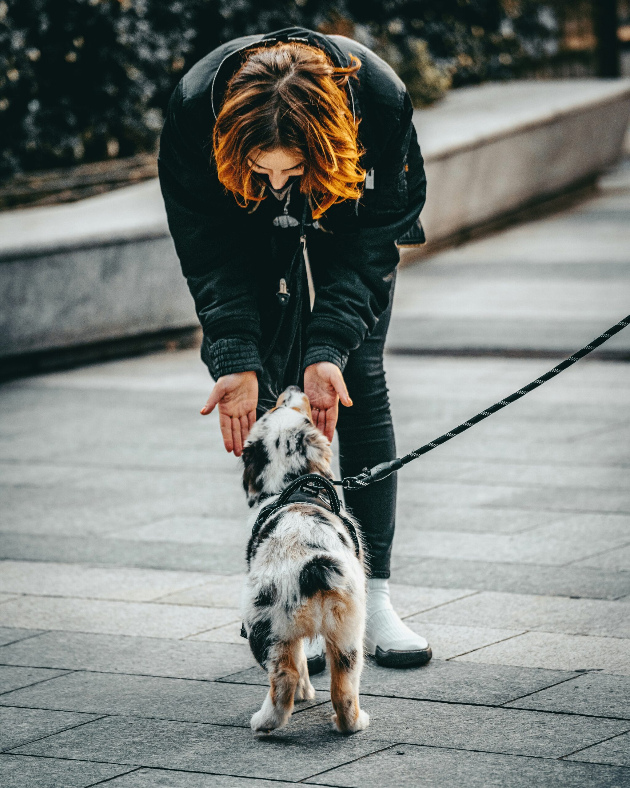 mikita-yo-q8tP-9LYP4o-unsplash